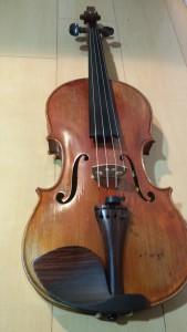viola